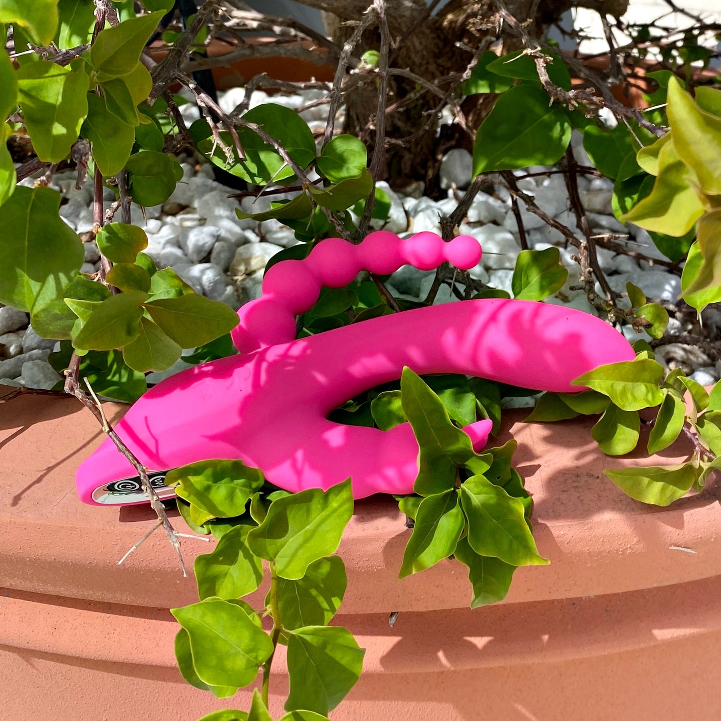 Ambrosia – The Triple Rabbit Vibrator